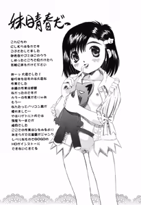 Page 165 of Imouto no Daina Toko - preview thumbnail