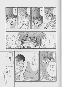Page 21 of DUO - preview thumbnail
