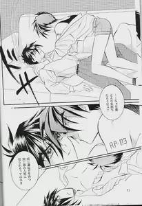 Page 30 of RP-03 - preview thumbnail
