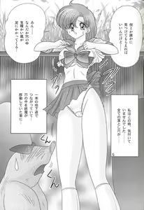 Page 5 of Mizuno Ami Nikki Z - preview thumbnail