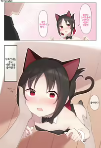 Nekomimi no Kaguya-sama - hentai manga cover image