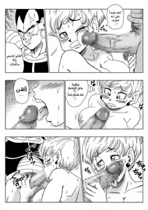 Page 13 of Warui Aniki - Bulma ga Yuukai Sareta! | الأخ الشيطان - preview thumbnail