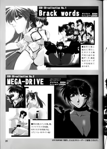 Page 25 of ORE-ISM - preview thumbnail