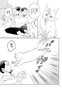 Page 16 of CATCH ME IF YOU ARE CAT - preview thumbnail