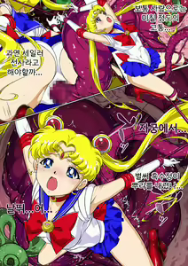 Page 18 of Sailor Moon Chu! | 세일러문 츄! - preview thumbnail