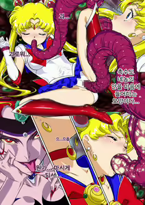 Page 19 of Sailor Moon Chu! | 세일러문 츄! - preview thumbnail