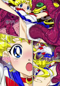 Page 20 of Sailor Moon Chu! | 세일러문 츄! - preview thumbnail
