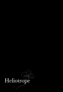 Page 12 of Heliotrope - preview thumbnail