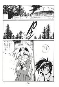 Page 29 of MILKY BOX DX3 - preview thumbnail