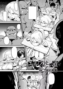 Elf no Tsukaimichi — hentai manga cover on Fhentai