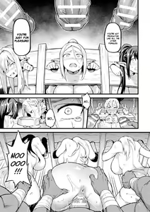 Page 12 of Elf no Tsukaimichi | The Way to Use Elves - preview thumbnail