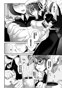 Page 9 of Classical Maid wa Fuku no Shita ni Sukebe o Kiteiru Mono da -MasPet Emily- | 古典風女僕的裙擺之中裹藏的是風嬌百態 - preview thumbnail