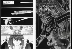 Page 47 of Shalader Vol. 2 - The Past and the Future - preview thumbnail