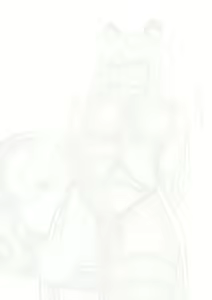 Page 28 of FUTA Pramanix - preview thumbnail