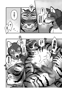 Page 26 of Ookami Sensei Tora Tou-san | 狼老師&虎爸爸 - preview thumbnail