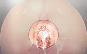 Page 925 of Kenzen! Hentai Seikatsu no Susume | How to Live a Healthy Hentai Lifestyle! (uncensored) - preview thumbnail