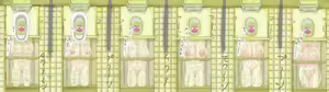 Page 1047 of Human Public Toilet - preview thumbnail
