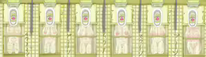 Page 1052 of Human Public Toilet - preview thumbnail