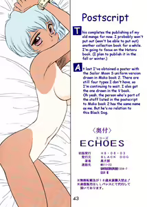 Page 22 of ECHOES - preview thumbnail