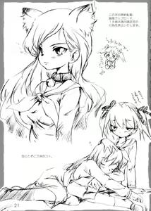 Page 20 of RoSALLICA - preview thumbnail