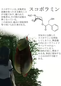 Page 14 of Anthropophagist Plant Analysis - preview thumbnail