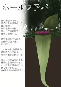 Page 7 of Anthropophagist Plant Analysis - preview thumbnail