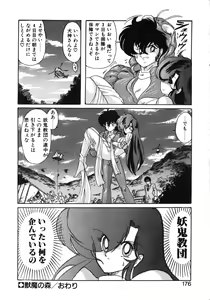 Page 176 of Seirei Tokusou Fairy Saber Tennyo Matou Hen - preview thumbnail