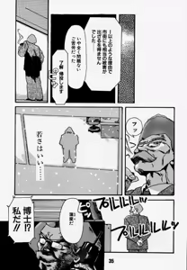 Page 34 of Daitenjin Kanpekihan - preview thumbnail