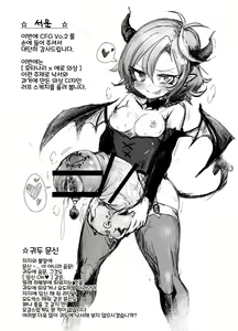 Page 3 of CFG Vol. 2 - preview thumbnail