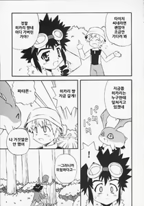 Page 5 of evolution - preview thumbnail