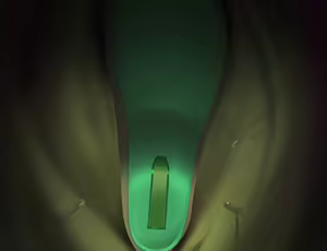 Page 1192 of Tower of Trample - preview thumbnail