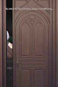 Page 24 of Noelle Library (uncensored) - preview thumbnail