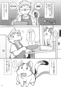 Page 66 of Seishun 18 Kin Kippu 5 - preview thumbnail