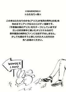 Page 3 of Futanari Alice to Shiro Usagi Oniisan no Aru Hirusagari no Dekigoto - preview thumbnail