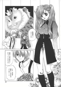 Page 45 of HALGION - preview thumbnail