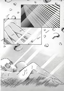 Page 161 of Akai Tsuki No Keshin - preview thumbnail