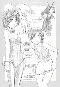 Page 23 of KLX T3 - preview thumbnail