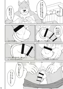Page 11 of How to Cock Ring - preview thumbnail
