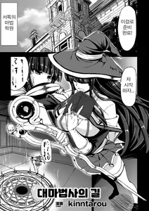 Daimajutsushi e no Michi | 대마법사의 길 — hentai manga cover on Fhentai