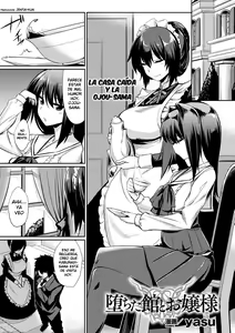 Ochita Yakata to Ojou-sama | The Fallen House and the Young Mistress — hentai manga cover on Fhentai