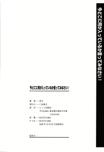 Page 205 of imadokoni naniga haitteiruka itteminasai! | 지금 어디에 뭐가 들어가 있는지 말해봐라 - preview thumbnail