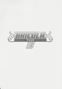 Page 4 of BRICOLA 3 - preview thumbnail