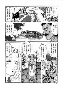 Page 68 of Ingoku Ryoukikan - preview thumbnail
