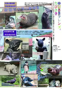 Page 16 of may Kemono Friends Thre Goudoushi 2 - preview thumbnail