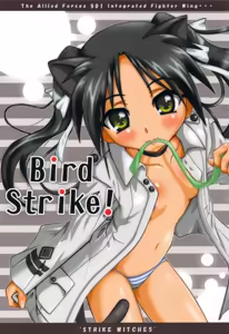 Bird Strike! — hentai manga cover on Fhentai