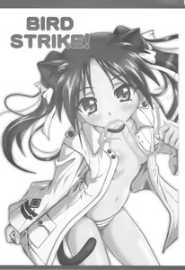 Page 3 of Bird Strike! - preview thumbnail