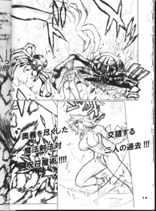 Page 14 of BASTARD!! -ANKOKU NO HAKAIGAMI- KANZENBAN 02 ver.1.05 「YOKOKU HON」 - preview thumbnail