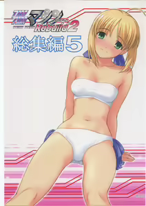 TIMTIM MACHINE Rebuild 2 Soushuuhen 5 — hentai manga cover on Fhentai