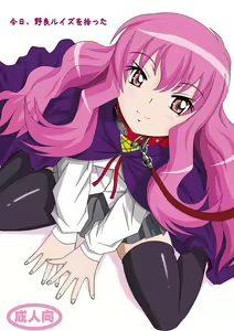 Kyou, Nora Louise o Hirotta — hentai manga cover on Fhentai