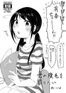 Kimi no Inmou o Shiritai - hentai manga cover image